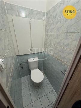 Pronájem bytu 3+1, 66 m² 8