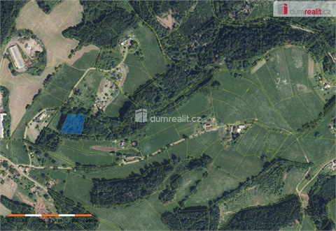 Prodej lesu, 3 301 m² - 0