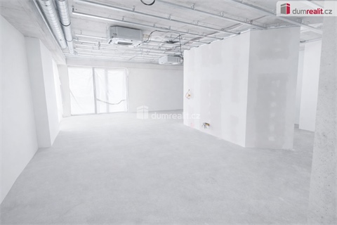 Pronájem obchodních prostor, 132 m² - 4