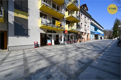 Prodej bytu 1kk, 40 m² - 28
