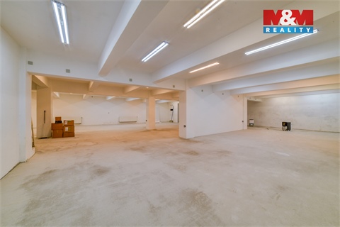 Pronájem obchodních prostor, 260 m² 4