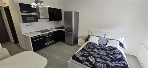 Pronájem bytu 1kk, 24 m² 2