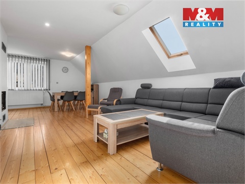 Prodej rodinného domu, 355 m² - 4