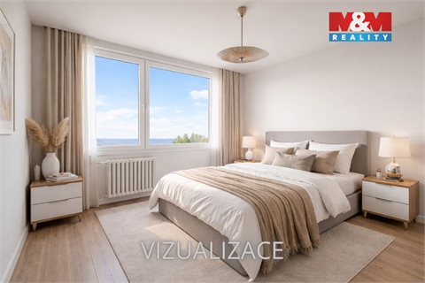 Prodej bytu 3+1, 55 m² 6