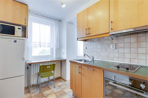 Pronájem bytu 1+1, 36 m² 0