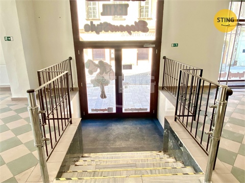 Pronájem obchodních prostor, 270 m² 10