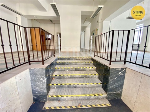 Pronájem obchodních prostor, 270 m² - 8