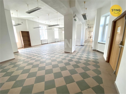 Pronájem obchodních prostor, 270 m² - 4