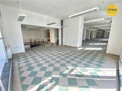 Pronájem obchodních prostor, 270 m² - 2