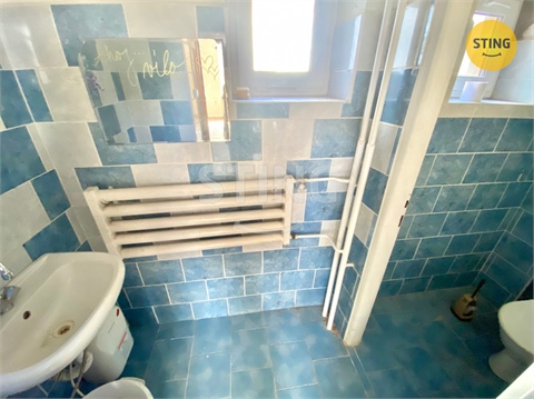 Pronájem obchodních prostor, 270 m² 8