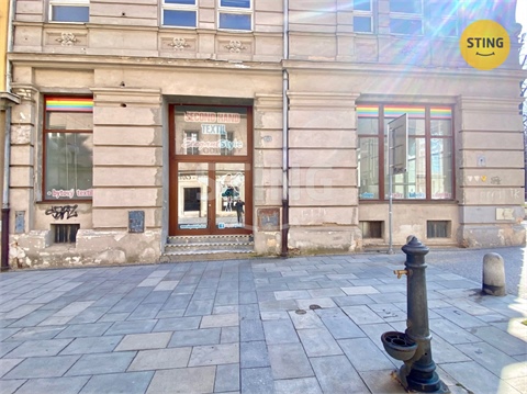 Pronájem obchodních prostor, 270 m² - 10