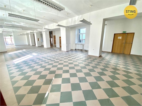 Pronájem obchodních prostor, 270 m² 6