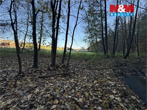 Prodej lesu, 1 901 m² - 8