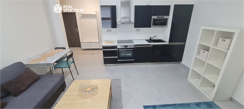Pronájem bytu 1kk, 33 m² 0