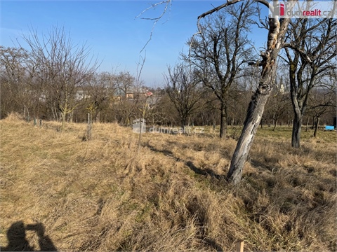 Prodej zahrady, 668 m² 2