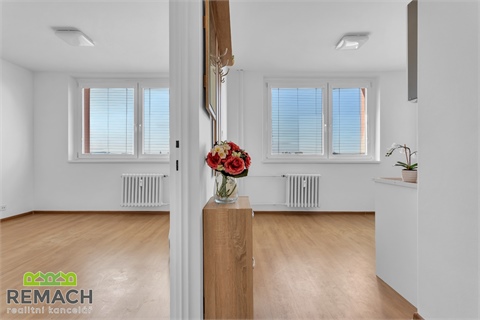 Pronájem bytu 1+1, 33 m² - 4