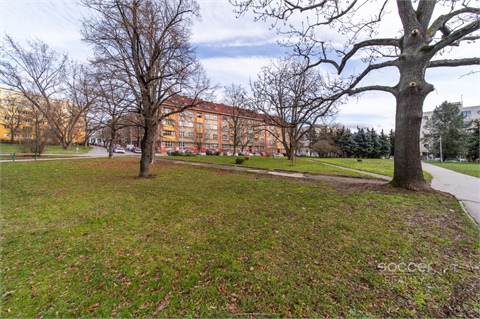 Pronájem bytu 2kk, 49 m² 24