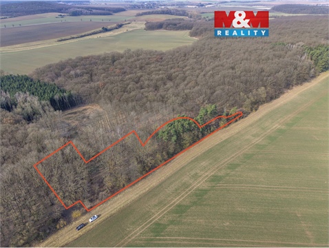 Prodej lesu, 6 169 m² 0