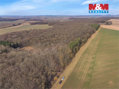 Prodej lesu, 6 169 m² 4