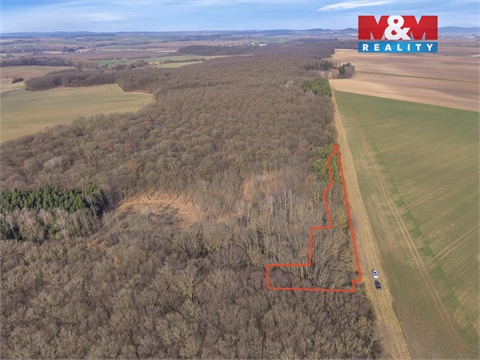 Prodej lesu, 6 169 m² - 12