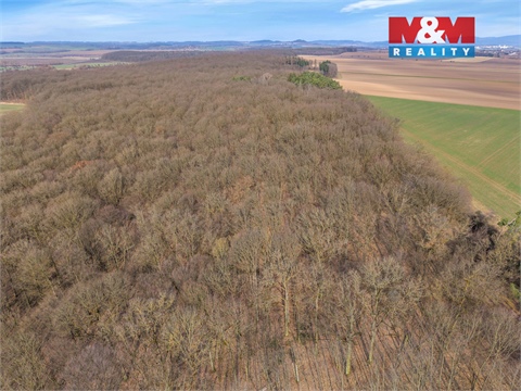 Prodej lesu, 6 169 m² 12