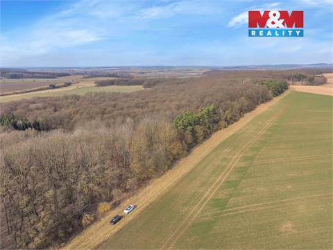 Prodej lesu, 6 169 m² 8