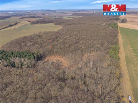 Prodej lesu, 6 169 m² - 6