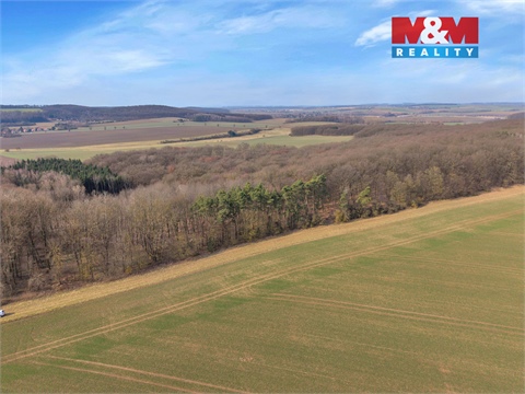 Prodej lesu, 6 169 m² - 8