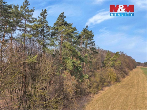 Prodej lesu, 6 169 m² 10