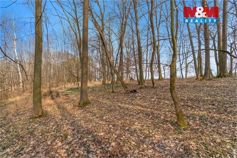 Prodej lesu, 6 169 m² - 4