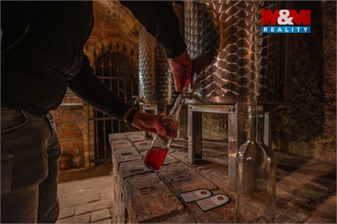 Prodej vinného sklepu, 62 m² - 12