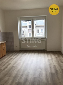 Pronájem bytu 1+1, 57 m² - 2