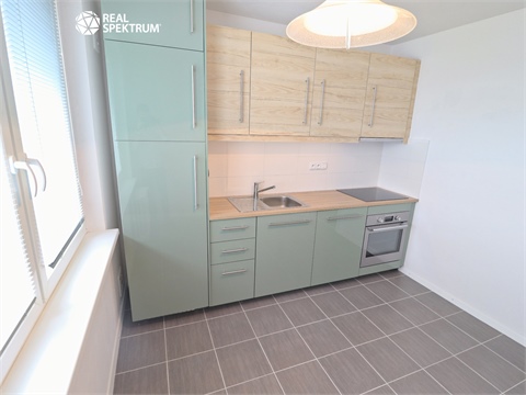 Pronájem bytu 1+1, 42 m² 0