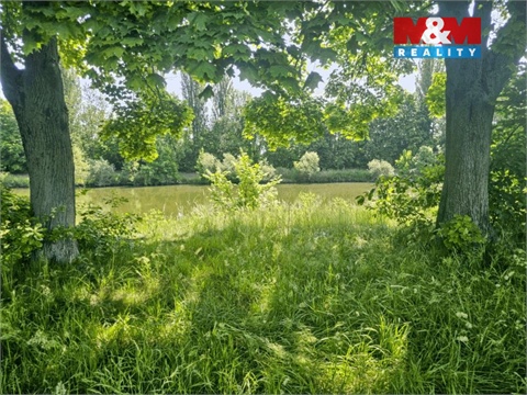 Prodej louky, 816 m² - 0