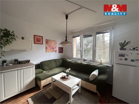 Pronájem bytu 1+1, 35 m² - 4