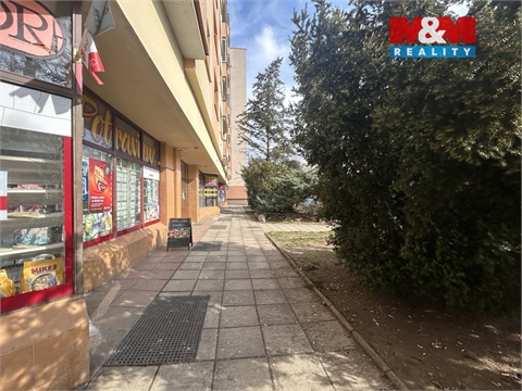 Pronájem bytu 1+1, 35 m² 18