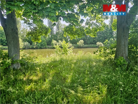 Prodej louky, 7 544 m² - 0