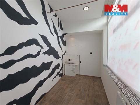 Pronájem obchodních prostor, 8 m² 4