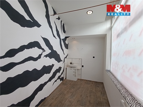 Pronájem obchodních prostor, 8 m² 6