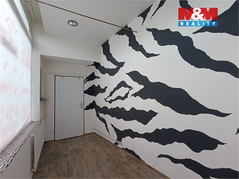 Pronájem obchodních prostor, 8 m² - 4