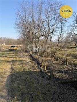 Prodej sadu, 4 555 m² - 10