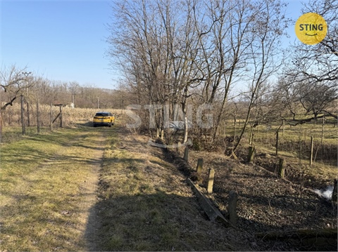 Prodej sadu, 4 555 m² - 0