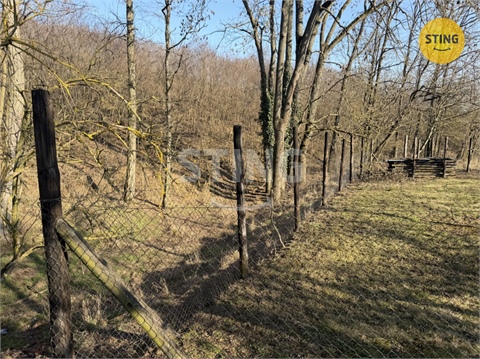 Prodej sadu, 4 555 m² - 6