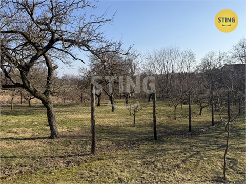 Prodej sadu, 4 555 m² 0