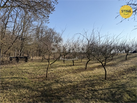 Prodej sadu, 4 555 m² 8