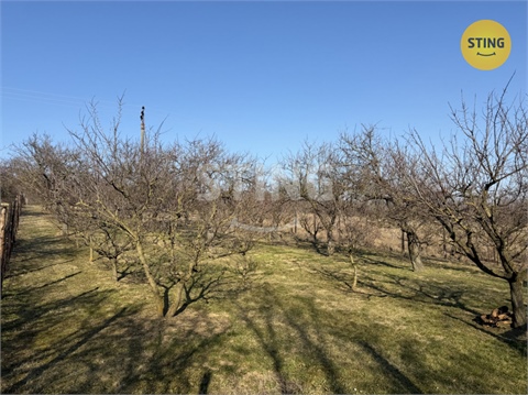 Prodej sadu, 4 555 m² - 2