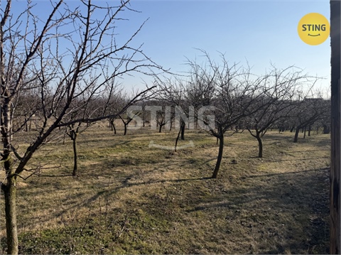 Prodej sadu, 4 555 m² - 8