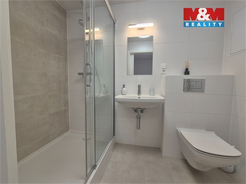 Pronájem bytu 3kk, 109 m² 4