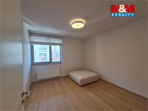 Pronájem bytu 3kk, 109 m² 14