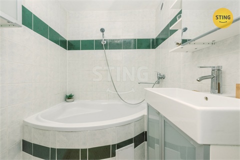 Prodej bytu 2+1, 54 m² - 8